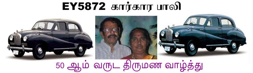pali 50